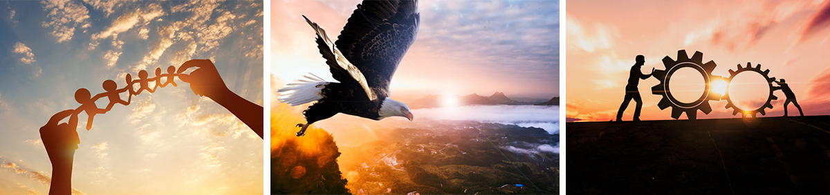 201809131621029710.jpg 201809131621029710.jpg